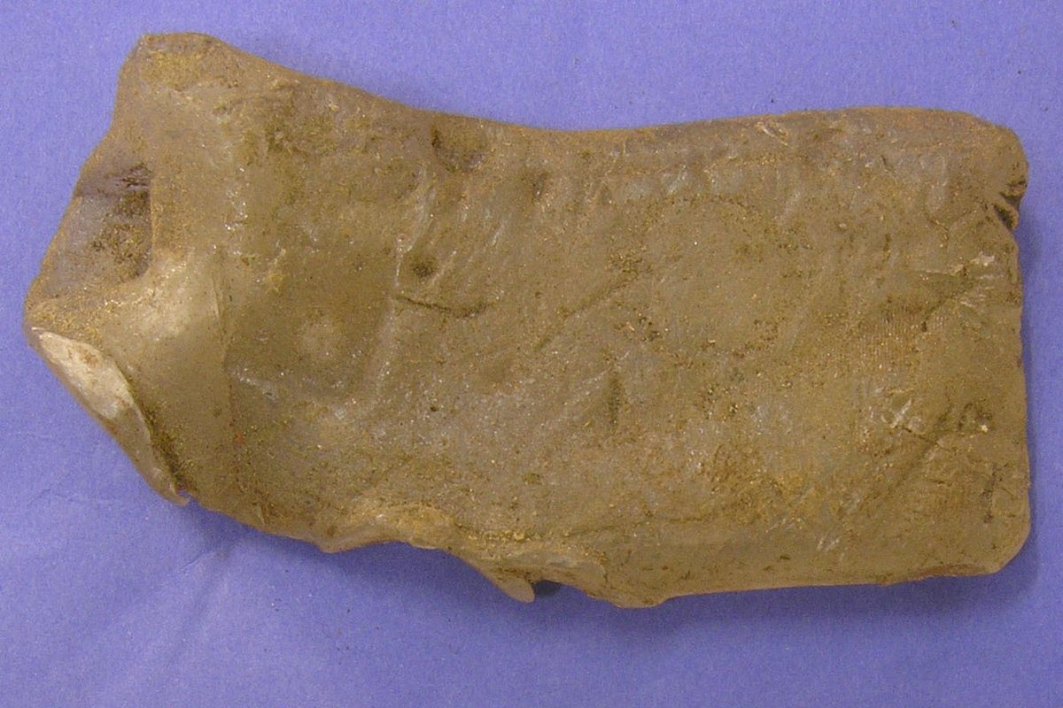 Le cuir aniline