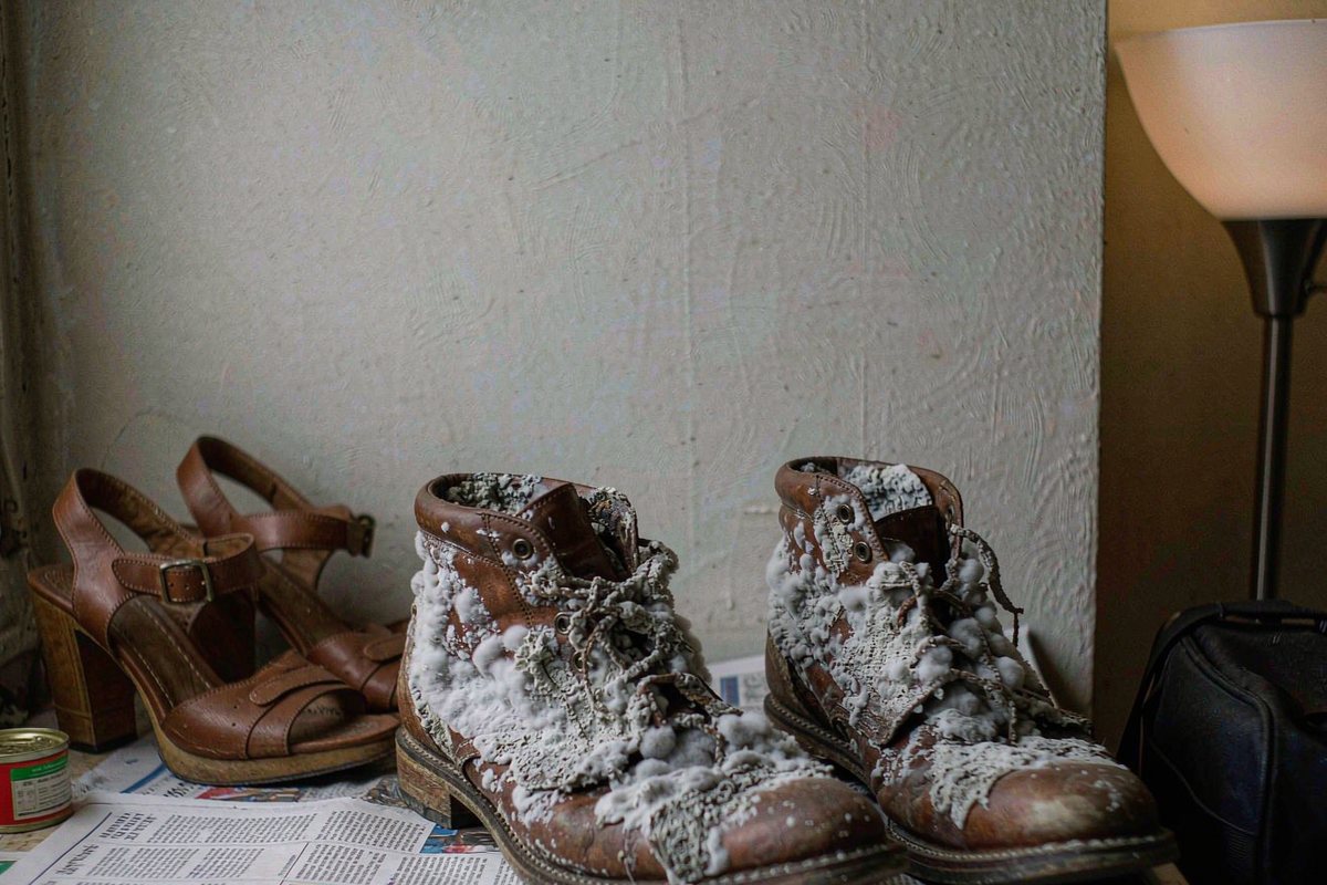Les traces blanches de moisissure